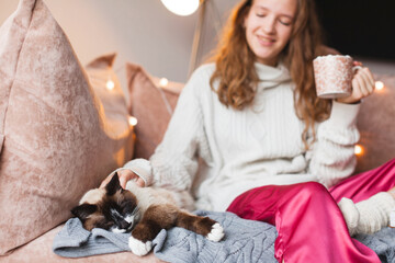 Woman petting her lovely fluffy cute cat at home