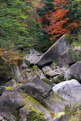 紅葉シーズンの鬼の舌震（島根県・奥出雲）