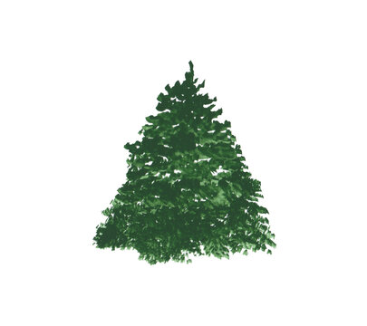 Christmas tree clipart. Spruce tree isolated on a white background. Watercolor landscape scene object. Hand-drawn green pine tree illustration. Silhouette of an evergreen plant.