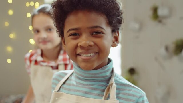 Portrait of joyous biracial boy in apron smiling at camera during culinary masterclass