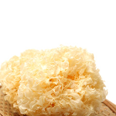 Tremella fuciformis,tremella is one of chinese food 