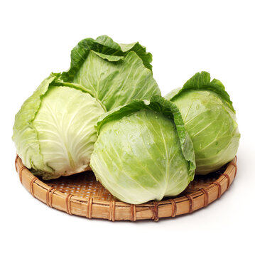 Green cabbage isolated on white background