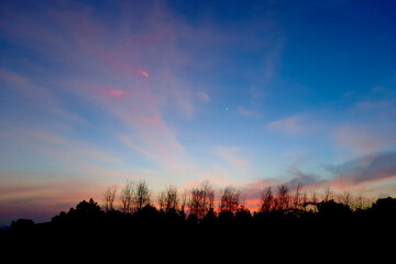 Dry tree or leafless on the ground, Evening sunlight and colorful sky