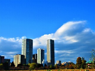 Obraz premium 快晴の街並み