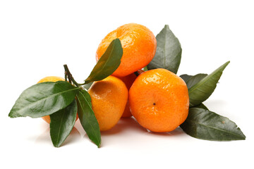 tangerine or mandarin orange on white background 