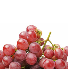 red grapes isolated on white