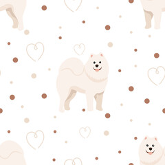 Seamless pattern of samoyed dog, heart, dot. Whati Fluffy buddy clipart. Vector illustration.