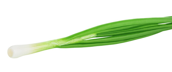 Fototapeta premium Fresh green onion isolated on white background.