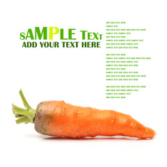 Fresh carrot on a white background