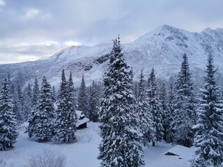zima w Tatrach, śnieg, góry, mróz, zaspy, zagrożenie lawinowe, TPN,  - obrazy, fototapety, plakaty