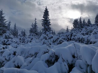zima w Tatrach, śnieg, góry, mróz, zaspy, zagrożenie lawinowe, TPN,  - obrazy, fototapety, plakaty