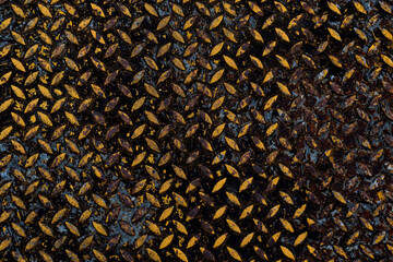 old iron wall texture and rust abstract seamless pattern