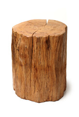 log isolated on a white background