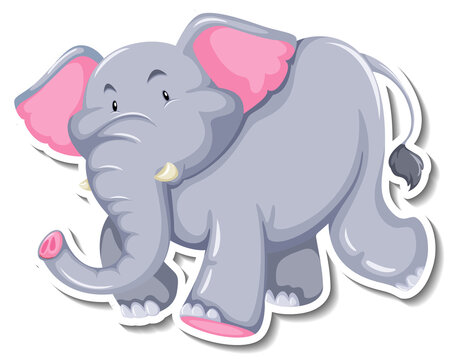 Elephant cartoon character on white background