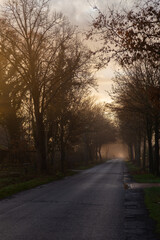 Obraz premium Alba con Bicicletta a Leer