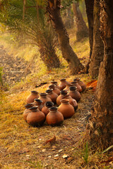 Earthen Pitcher with Date palm on a winter morning. Collection of date juice in Bangladesh