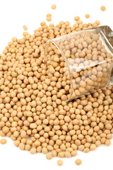 gold soybean isolated on white background 