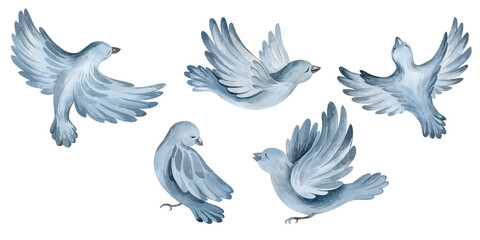 watercolor illustration. Wild Australian animals and birds.