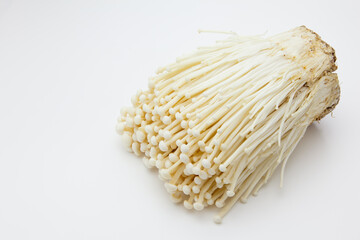 白背景の榎茸 © haru