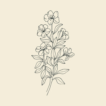Hand drawn azalea flower illustration