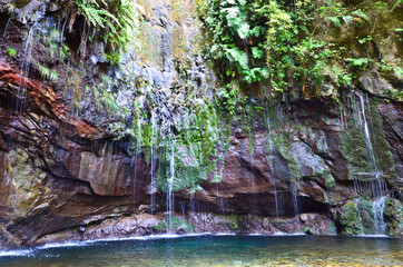 Fototapeta premium Waterfall in the woods