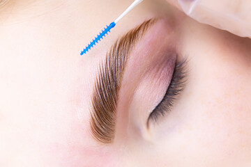 ready-made procedure lamination of eyebrows after coloring with paint