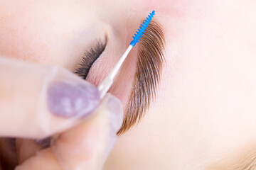close-up of the completed procedure, the master combs the model's eyebrow with a micro brush after...