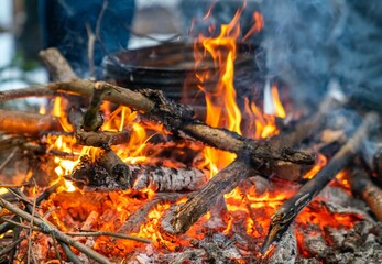 Cooking food on a campfire in the woods in nature