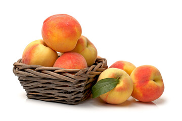Gold Peach on a white background