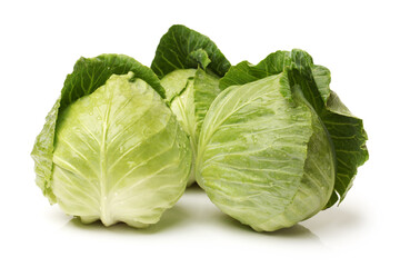 Fototapeta premium Green cabbage isolated on white background