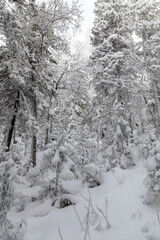 Winter landscape. Taganay national Park, Zlatoust city, Chelyabinsk region, South Ural, Russia.