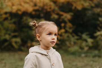 Autumnal mood. Portrait of a little cute girl walking in the autumn park