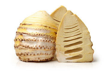 Bamboo shoot on the white background