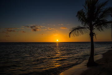 Bench and palm trees on the seashore before dawn. Beautiful sunrise at sea. Dawn on the Atlantic ocean. The sun is reflected in the sea. Palm trees against the background of the rising sun. 