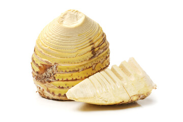 Bamboo shoot on the white background