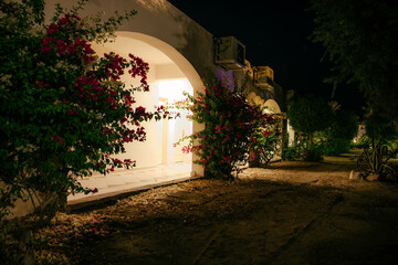 Naklejka premium The arches of the white building is illuminated by lanterns.Night view walkway with tropical palm trees in the light of the lantern. Night tropical park with palms and lanterns
