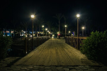 Wooden bridge illuminated by lamps and beautiful bushes and palm