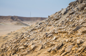 Fossilized seashells in the desert. A hill of fossilized seashel