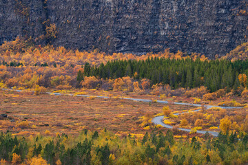 Asbyrgi deep canyon and curves road on autumn in Northern Iceland