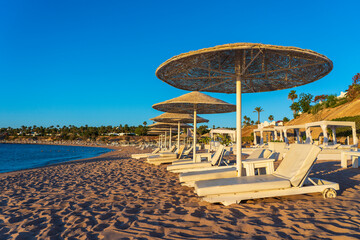 Luxury sand beach with beach chairs and white straw umbrellas in tropical resort in Red Sea coast in Egypt, Africa