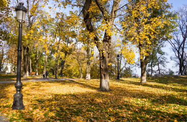 Nice park in autumn. Yellow leaves on the lawn. Beautiful autumn