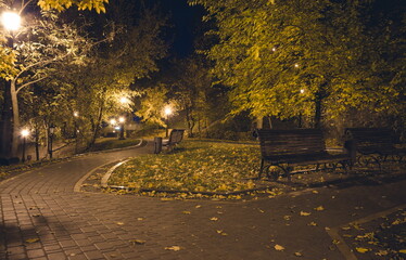 Naklejka premium The teiled road in the night park with lanterns in autumn. Bench