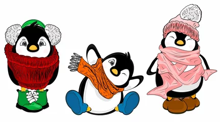 Fotobehang set of funny penguins © Djessi85