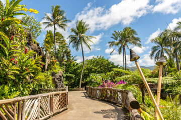 wooden pathway through palm trees