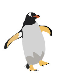 penguin on white background