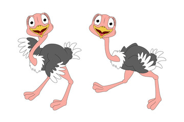 cute ostrich animal cartoon illustration