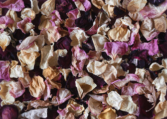 Background of dried, multicolored rose petals close-up