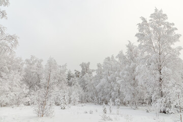 Obraz na płótnie Canvas Winter landscape. Taganay national Park, Zlatoust city, Chelyabinsk region, South Ural, Russia