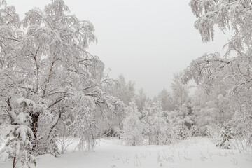 Winter landscape. Taganay national Park, Zlatoust city, Chelyabinsk region, South Ural, Russia