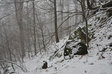 Hiking in Chriby Hills, proper winter conditions